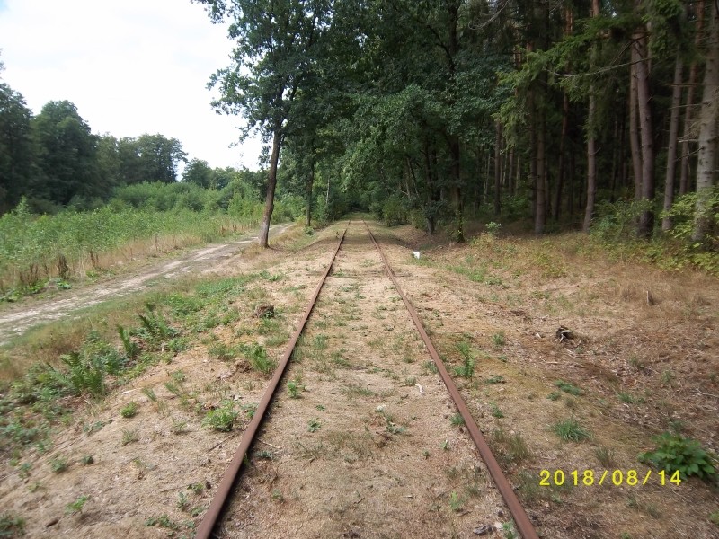 ZWNEGI25